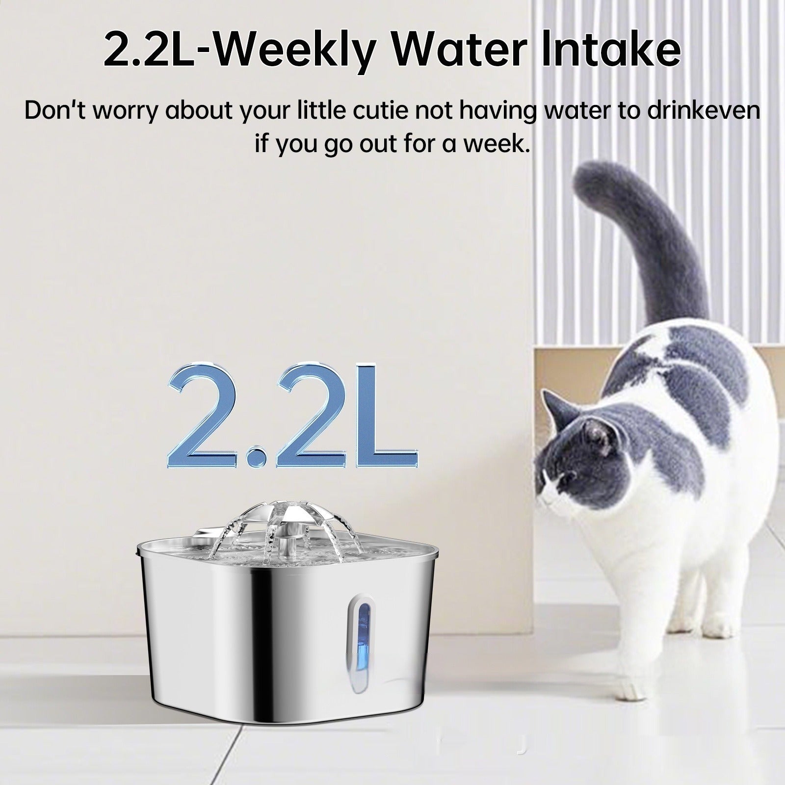 2.2L Stainless Steel Pet Water Fountain | Continuous Flow | Cats & Dogs | Multi-Plug Options