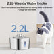 2.2L Stainless Steel Pet Water Fountain | Continuous Flow | Cats & Dogs | Multi-Plug Options